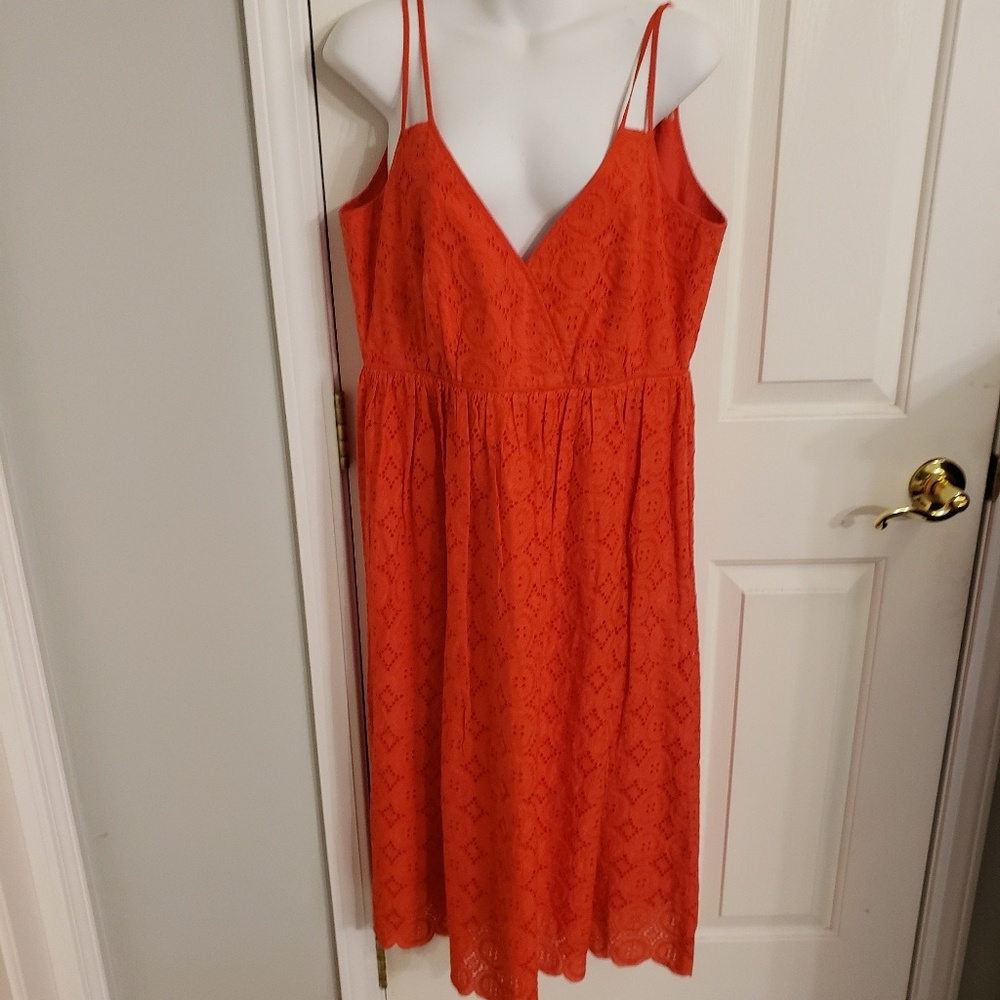 Beautiful Eyelet Midi Dress NWT